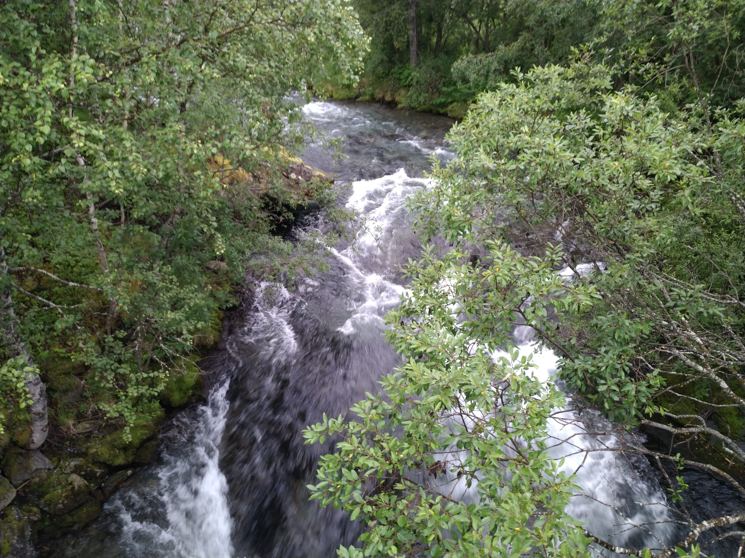 Åpner for prøvefiske i Kitdalselva